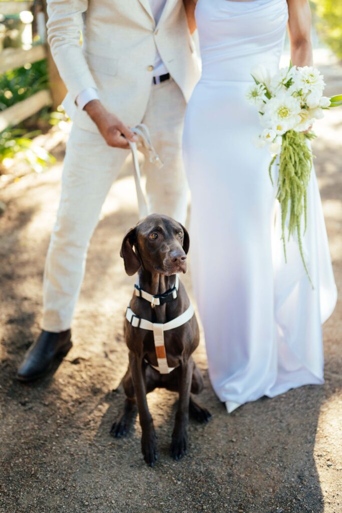 Taylah and Daniel - I do I do Gippsland