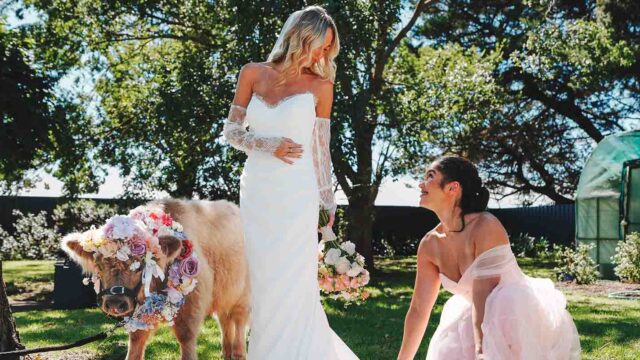 Farmyard Wedding Waiters
