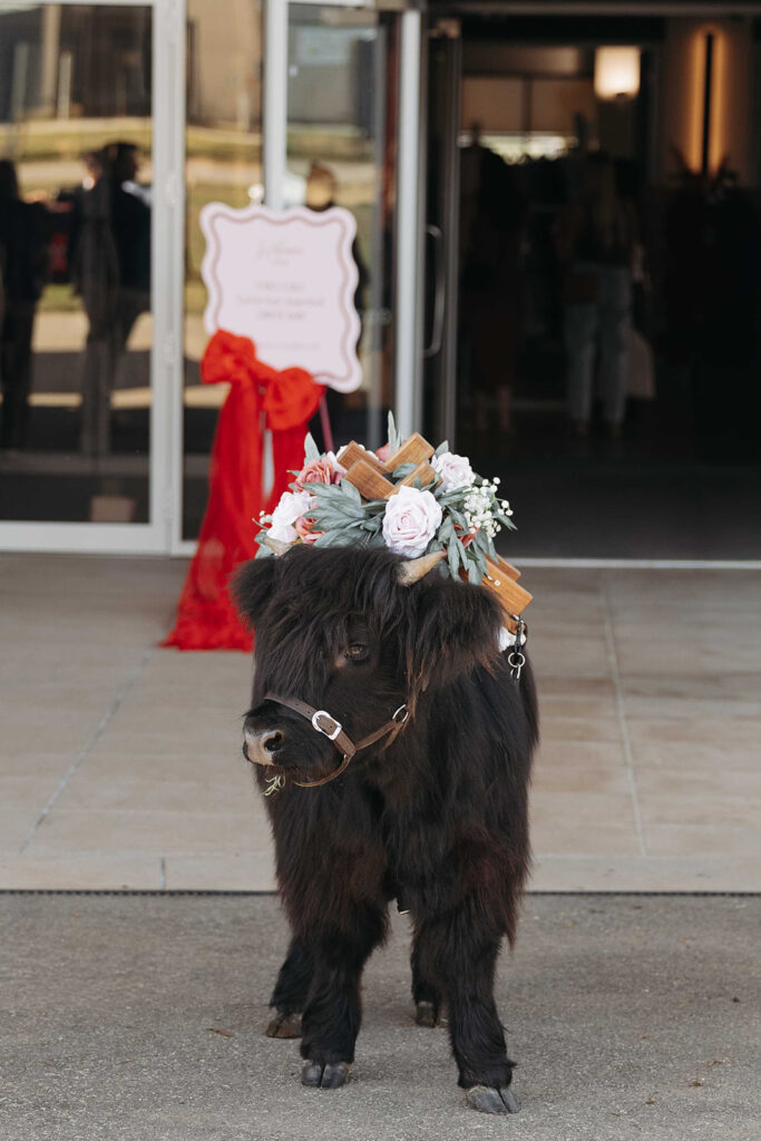 Black pony wearing a flower crown and wooden cross decorations, standing outside a building entrance.