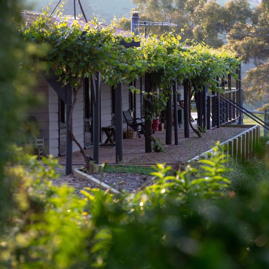 121830631_362007721816343_8315818522009399090_n | I do I do Gippsland Row of small cottages with a vine-covered porch, gravel path and outdoor chairs along a railing