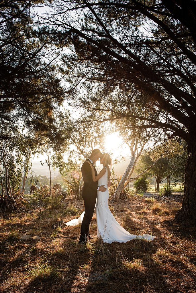 Carrajung Estate | I do I do Gippsland Bride in a white gown and groom in a suit embrace under trees at sunset in a sunlit woodland clearing shrouded by branches and warm light, wedding photo.